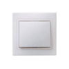 EVK10-K01-10-DM